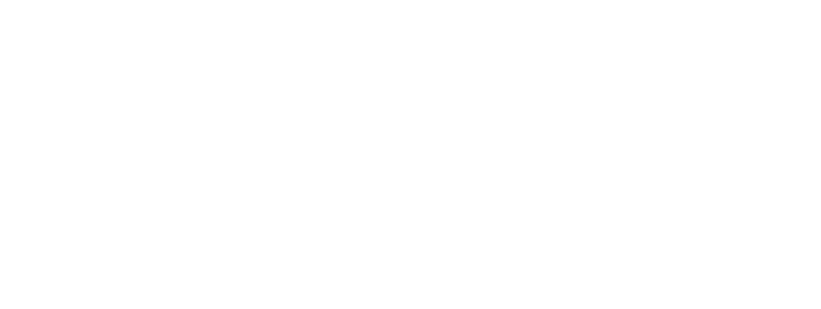 夜な夜なクジラの占い